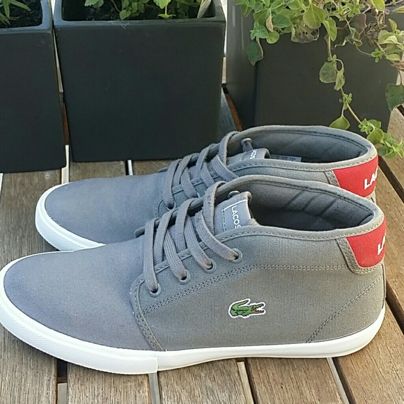 tenis lacoste ampthill